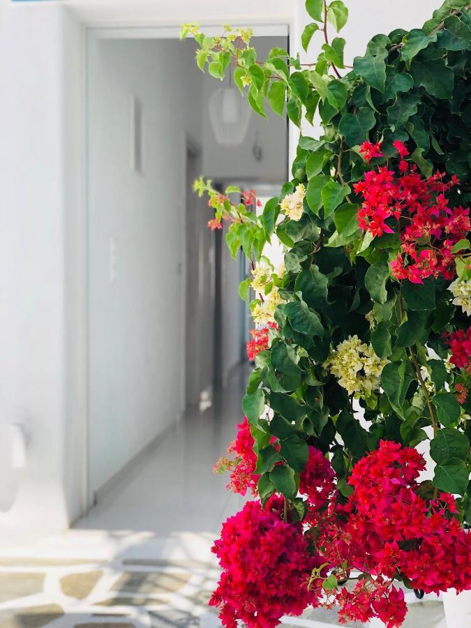 Taki'S Guests Bed & Breakfast Naxos City Bagian luar foto